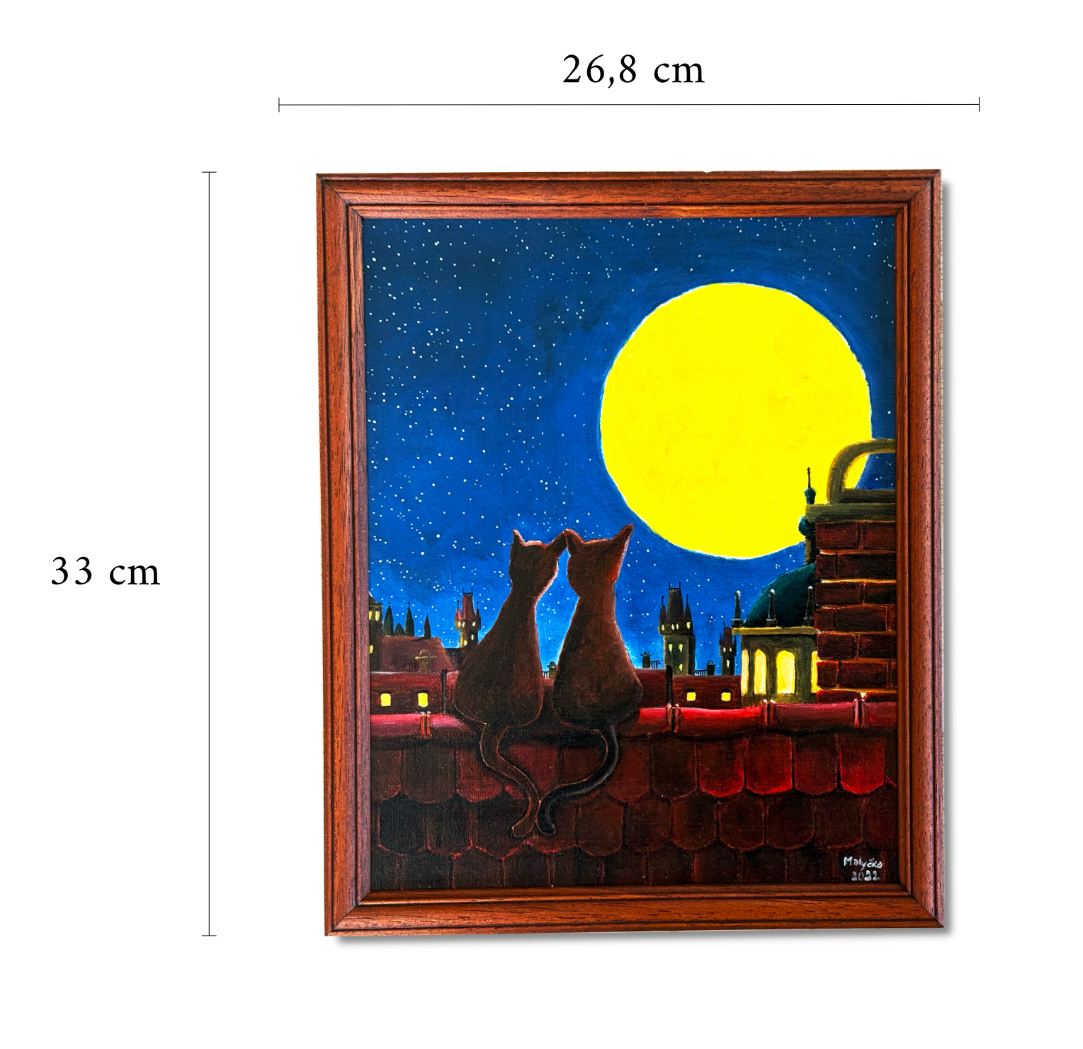 kočky big